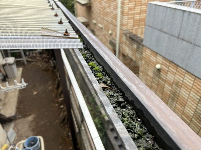 雨樋の詰まりも発見!放置は厳禁です
